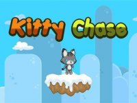 Sweet Feline Treat Collection