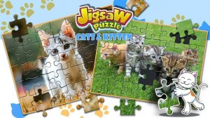 Feline Photo Puzzle Assembly