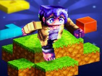 Parkour Craft 3D Online Game