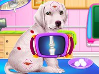 Labrador Puppy Daycare Salon Online Game
