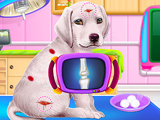 Labrador Puppy Daycare Salon Online Game