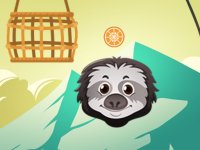 Zoo Slings Puzzle Game