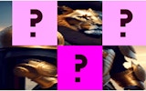 Lion Tamer Sliding Puzzle