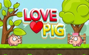 Pig Adventure Platformer