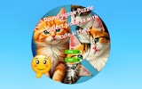 Circular Cat Picture Puzzle
