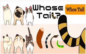 Whose Tail? Animal Matching Puzzle Game Online - Kids Puzzle Game