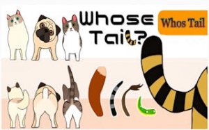 Whose Tail? Animal Match Puzzle