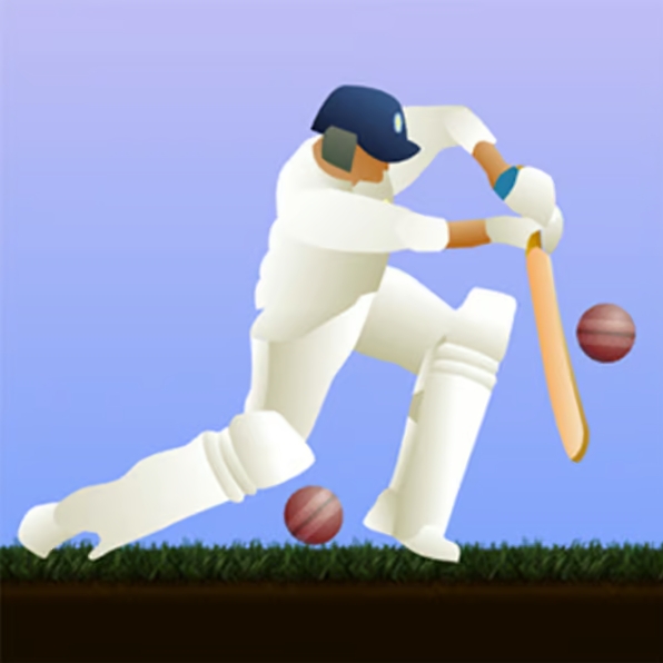 Little Master Cricket Sports Game