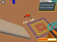 Back Flip Frenzy Stunt Game Arcade Game