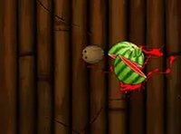 Fruit Slicing Arcade Game