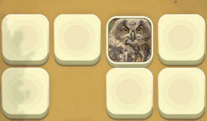 Zoo Match Memory Puzzle Game Online